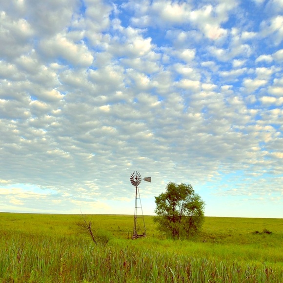 Meet your Posher, Marilyn - Picture 1 of 2
